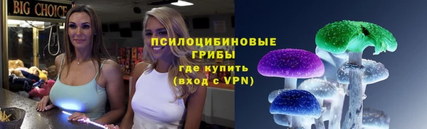 ешки Алексеевка