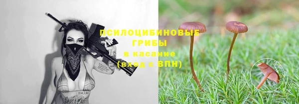 ешки Алексеевка