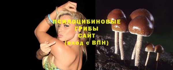 a pvp Алексин