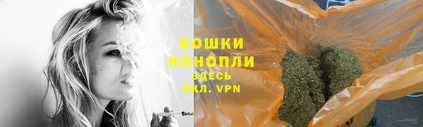 ешки Алексеевка