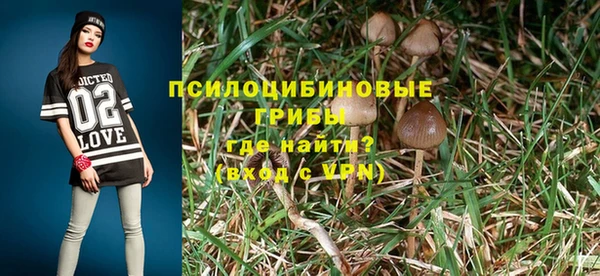 ешки Алексеевка