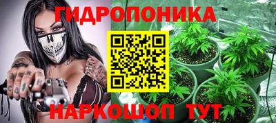 mdpv Заводоуковск