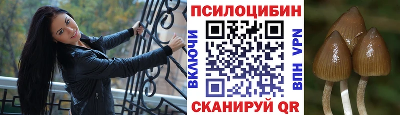 маркетплейс состав купить закладку Муравленко Псилоцибиновые грибы MAGIC MUSHROOMS