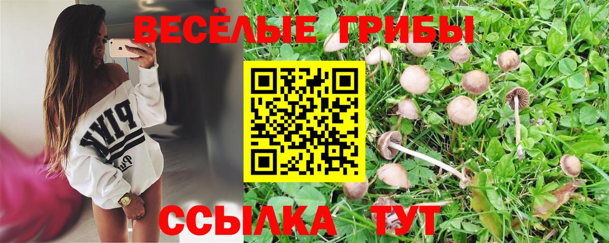 где купить наркоту  Галлюциногенные грибы Magic Shrooms  Вход с VPN  Муравленко 